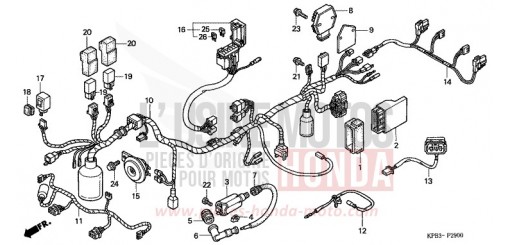 FAISCEAU DES FILS (NSS2501) NSS2501 de 2001